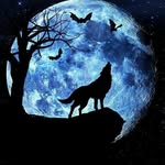 Patty Wolf - @pattykins242020 - Instagram