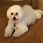 Patty Wolf Cook - @pcook12004 - Instagram