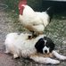 Patricia Wolff - Facebook