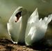 Patty Wolff - Facebook