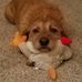Patty Wooten - Facebook