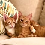 Patty Wray - @pwray1212 - Instagram