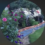 Patty Wright - @patty.wright_12914 - Instagram