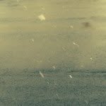 ⠀⠀⠀⠀(◡‿◡✿) - @pausingpixels - Instagram