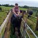 Paudie Ryan - Facebook