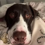 Paula Bates - @paula.bates.98 - Instagram