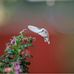 Paul Abdon - Facebook