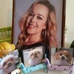 Gerhard Paul Ackermann - @gerhardackermann - Instagram
