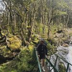 Paul Ackermann - @paul.ack3rmann - Instagram