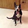 Paul Adkins - @lonewolf.88 - TikTok