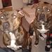 Paul Agnew - Facebook
