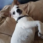 Paul Agnew - @paul.agnew.77 - Instagram