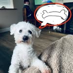 Paul Aherne - @p.aherne - Instagram