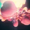 Alberta Paul - @albertapaul - TikTok