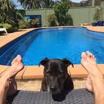 Paul Alderton - @paul.alderton.39 - Instagram