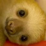 Paul Aldrich - @paul.aldrich.54 - Instagram