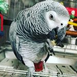 Paul Aldrich - @aldrich7464 - Instagram