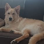 Paul Allington - @paul.allington.98 - Instagram