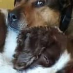 Paul Galloway - @paul.galloway.5680 - Instagram