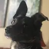 paul.calloway1 - @paul.calloway1 - TikTok
