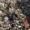 paulaallredbrown - @paulaallredbrown - TikTok