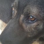 Paul Almquist - @paul.almquist.3 - Instagram