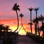 Paul Almquist - @paulalmq - Instagram