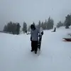 Paul Altiere - @paul.altiere - TikTok