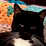 paul altmann - @paul.altmann7788 - Instagram