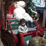 Paul Andras - @paul.andras.549 - Instagram