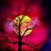 Paul Andreasen - Facebook