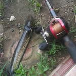Paul Angler - @paulangler - Instagram