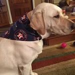 Paula Ansley - @paulaansley - Instagram
