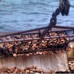 Paul E Antrobus - @pantrobus2022 - Instagram