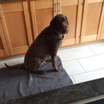 Paul Appel - @appel2274 - Instagram