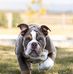 Paul Appleton - Facebook