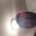 Paul Arant - Facebook