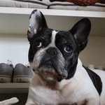 Paula 🐶 - @paularatay - Instagram