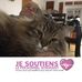 Paul Arbour - Facebook