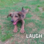 Paul Arce - Facebook