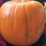Paul Archie Foogan - @paul_the_pumkin - Instagram