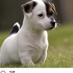 Paul Arden - @arden169 - Instagram