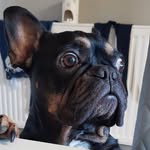 Paul Argent - @paul.argent.50 - Instagram