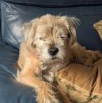Paul Armitage - Facebook