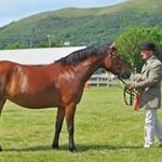 Paul Armitage - @parmitage58 - Instagram