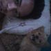 Arnstein Paul Astorga - Facebook