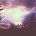 Paul Arrowood - @binghorrie - Instagram