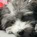 Paul Arseneau - Facebook