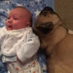 Paul Askin - @paulie.a1916 - Instagram