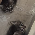 @paul_assaff - Instagram